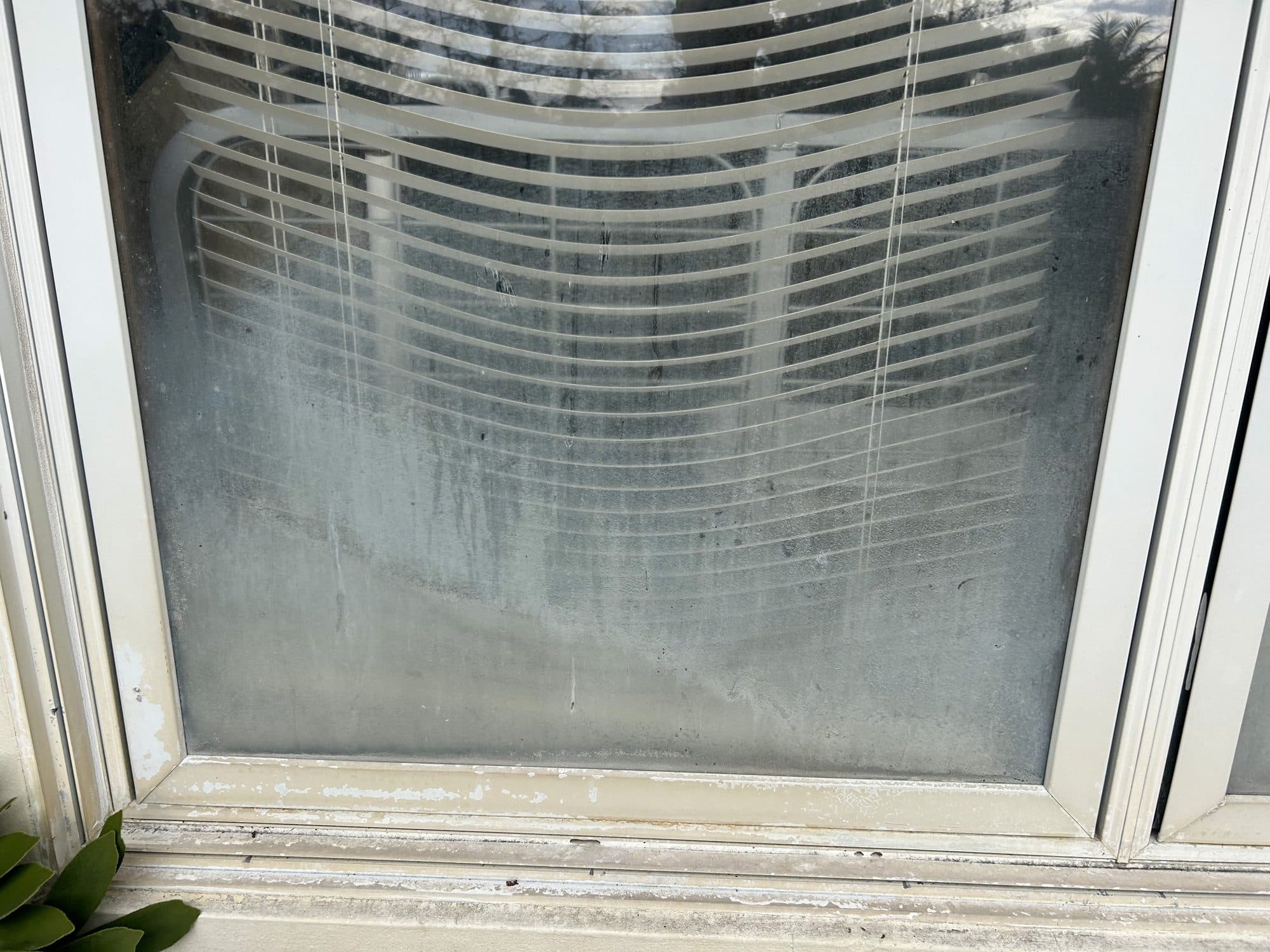 Protecting Tampa Commercial Glass from Storm & Salt Damage