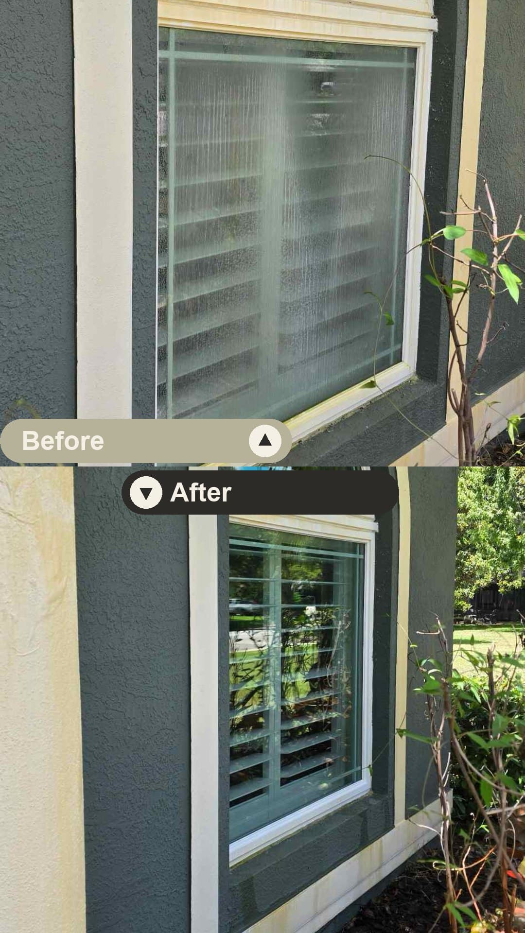 Before and after — heavy hard-water staining lifted from an arched window at a Tampa home, glass restored to crystal-clear