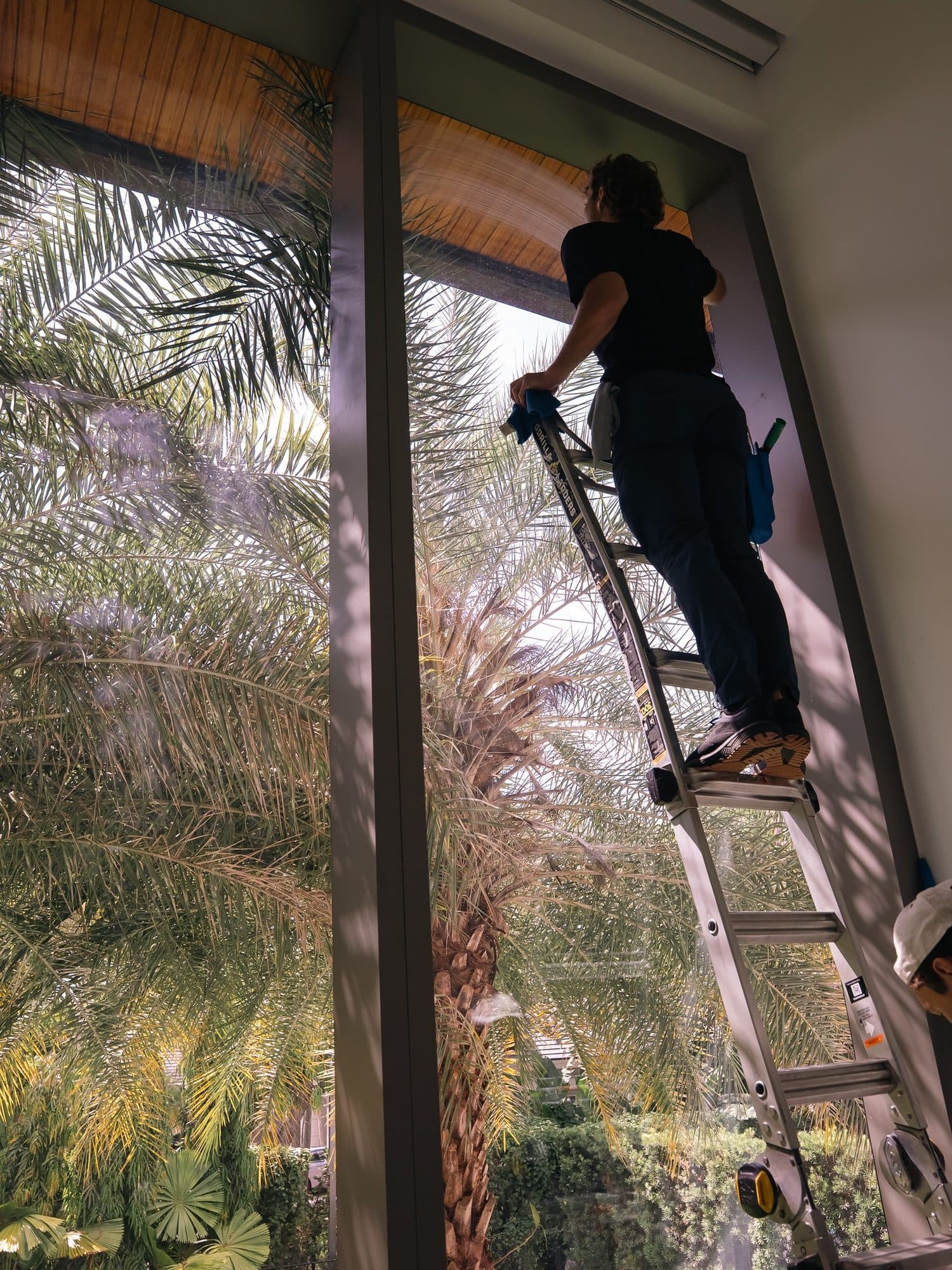 Commercial Window Cleaning