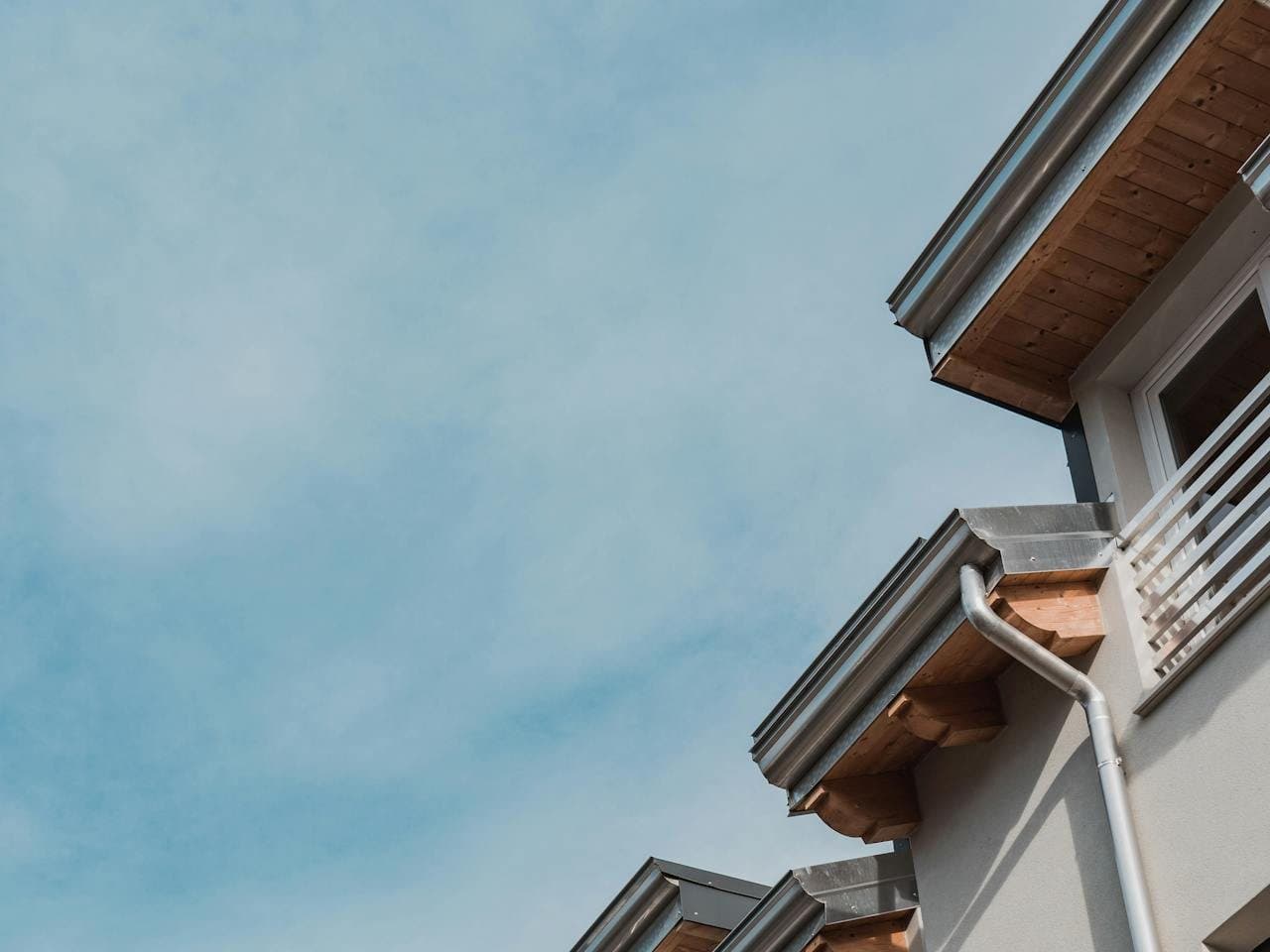 Gutter Cleaning